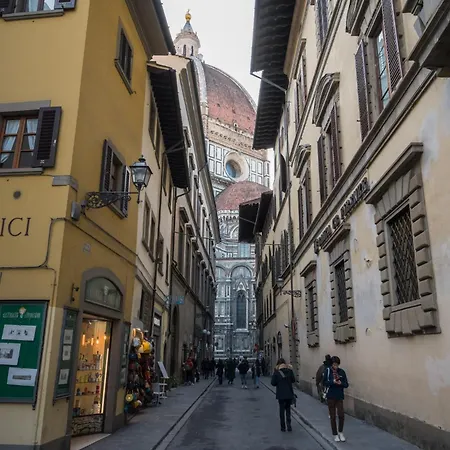 Stylish Dome * Florence